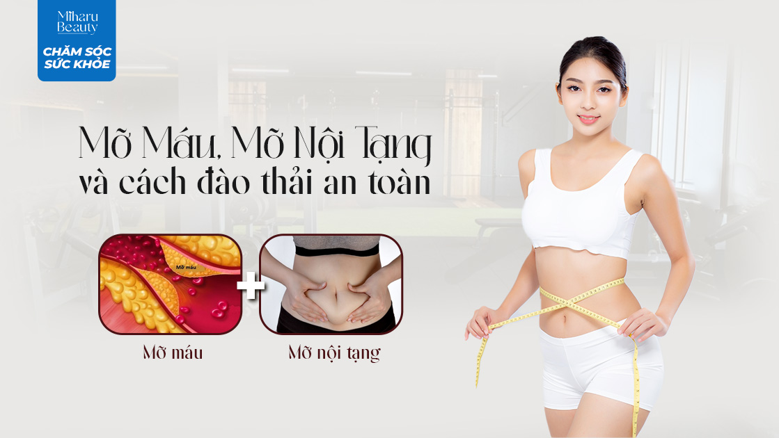 MỠ MÁU, MỠ NỘI TẠNG VÀ CÁCH ĐÀO THẢI AN TOÀN.